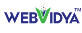 WebVidya Pvt. Lt.d | Digital Marketing Training & Services